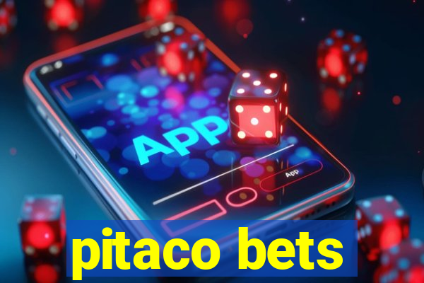 pitaco bets